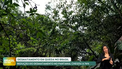 Brasil em Dia - 9/5/2025 - Desmatamento no Pantanal cai 75%