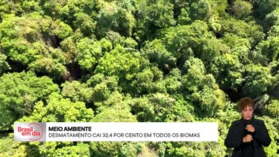 Brasil em Dia - 20/5/2025 - Brasil Dando a Volta por Cima: pela primeira vez, país reduz desmatamento em praticamente todos os biomas