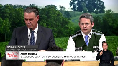 Brasil em Dia - 20/5/2025 - País pode estar livre da gripe aviária em menos de um mês
