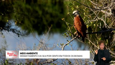 Brasil em Dia - 20/5/2025 - Volta por cima: desmantamento cai 32% em todos os biomas