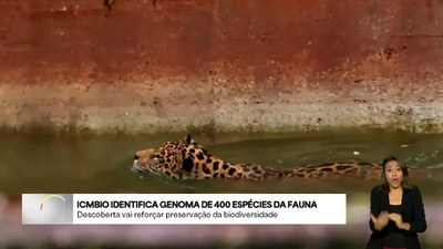 Brasil em Dia - 30/5/2025 - ICMBio identifica genoma de 400 espécies da fauna brasileira
