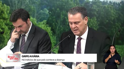 Brasil em Dia - 5/6/2025 - Gripe aviária: casos seguem restritos a animais silvestres