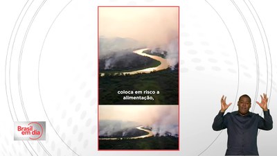 Brasil em Dia - 6/6/2025 - Ministra apresenta resultados da política ambiental do governo