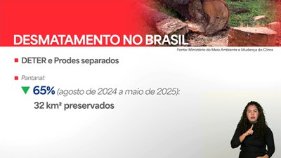 Brasil em Dia - 9/6/2025 - Aumento do desmatamento na Amazônia é resultado dos incêndios agravados por seca histórica
