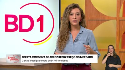 Conab compra 91 mil toneladas de arroz e inicia estoque de grãos