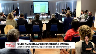 Fundo Amazônia tem melhor semestre da história com R$ 1 bilhão em aprovações