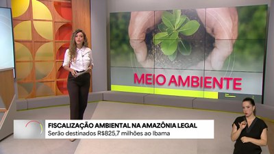 Fiscalização na Amazônia Legal conta com novo reforço