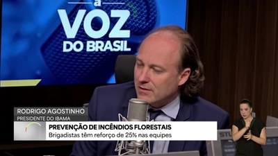 Brigadistas têm reforço de 25% nas equipes para combate a incêndios florestais