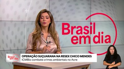 Operação Suçuara combate criação ilegal de gado na Reserva Chico Mendes