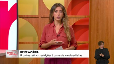 Gripe Aviária: 17 países retiram restrições de exportação à carne de aves brasileira