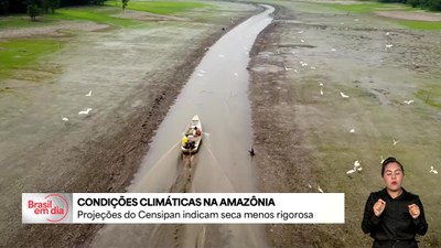 Censipan indica que seca será menos rigorosa na Amazônia neste ano