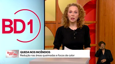 Brasil registra queda nas queimadas no primeiro semestre