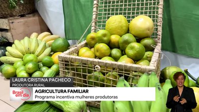 Programa experimental incentiva mulheres produtoras
