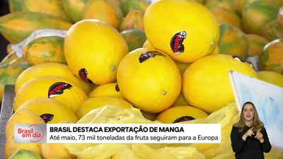Manga é a fruta mais exportada pelo Brasil e ajuda a movimentar a economia