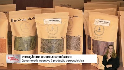 Governo cria programa para reduzir uso de agrotóxicos