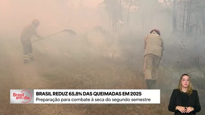 Brasil tem queda de 65,8% nas queimadas em 2025