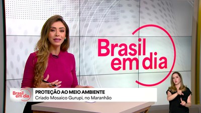 Proteção ao meio ambiente: criado Mosaico Gurupi, no Maranhão