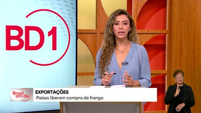 Gripe aviária: países liberam compra de frango brasileiro