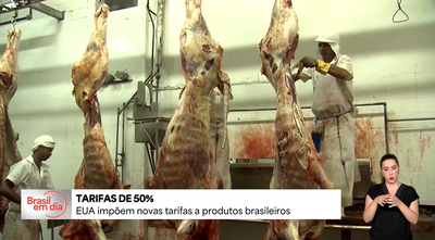 Brasil já prepara plano de ação para apoiar e proteger empresas e trabalhadores de tarifaço