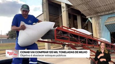 Conab vai comprar 120 mil toneladas de milho