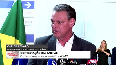 Câmara de Comércio Exterior vai questionar tarifas dos EUA na Organização Mundial do Comércio (OMC)