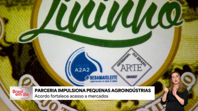 Confira todas as notícias da edição de quinta, 7 de agosto
