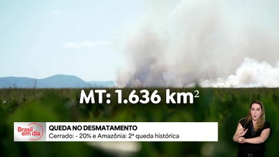 Cerrado registra a maior queda de desmatamento dos últimos anos