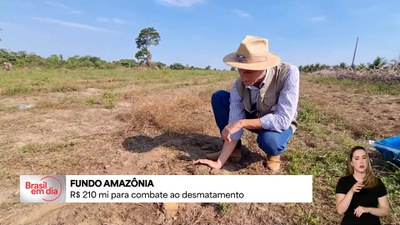Fundo Amazônia completa 17 anos