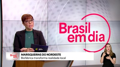 Biofábrica transforma realidade de marisqueiras em Pernambuco
