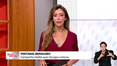Campanha com a National Geographic vai divulgar o Pantanal