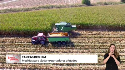 Plano Brasil Soberano: governo vai fazer compra emergencial para ajudar exportadores