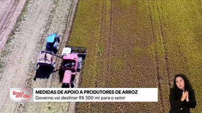 Governo vai apoiar produtores de arroz com R$ 300 milhões