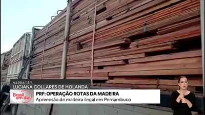 PRF apreende madeira ilegal em Pernambuco