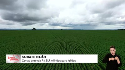 Conab anuncia R$ 21,7 milhões para leilões de feijão e apoiar produtores do RS