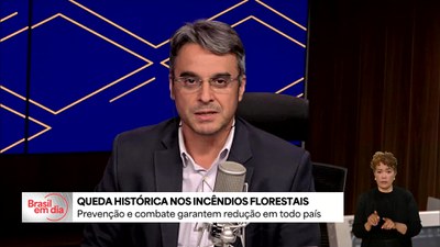 Prevenção e combate garantem redução histórica nos incêndios florestais