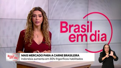 Indonésia amplia em 80% o número de frigoríficos brasileiros habilitados para exportação