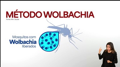 Combate à dengue: saúde implementa método Wolbachia no DF e  GO
