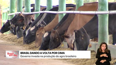 Brasil Dando a Volta por Cima: governo investe na produção do agro