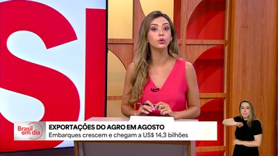 Exportações do agro crescem e chegam a 14,3 bilhões de dólares em agosto