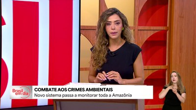 Novo sistema passa a monitorar toda a Amazônia para combater crimes ambientais