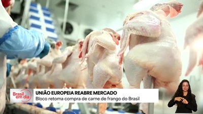 União Europeia retoma compra de carne de frango do Brasil