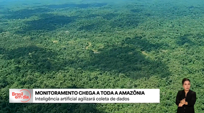 Amazônia tem monitoramento em tempo real para combate ao desmatamento