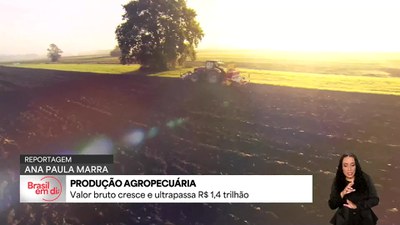 Valor bruto da produção agropecuária ultrapassa R$ 1,4 trilhão