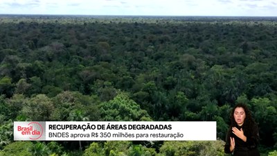 BNDES aprova R$ 350 milhões para recuperação de áreas degradadas