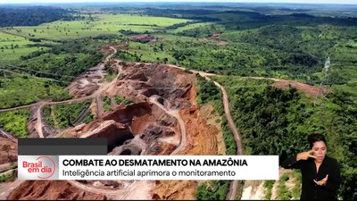 Inteligência artificial aprimora combate ao desmatamento na Amazônia