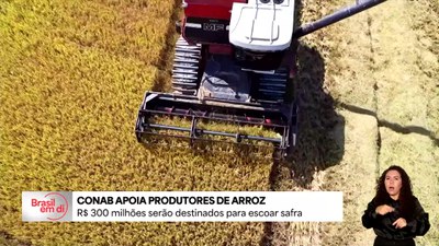 Conab apoia produtores de arroz
