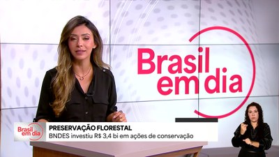 BNDES investiu R$ 3,4 bi em ações de conservação ambiental