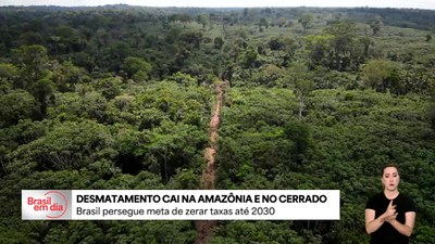 Desmatamento na Amazônia e no Cerrado registra queda de mais de 10% em 2025