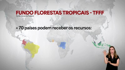 Fundo Florestas Tropicais para Sempre mobiliza países pela conservação ambiental