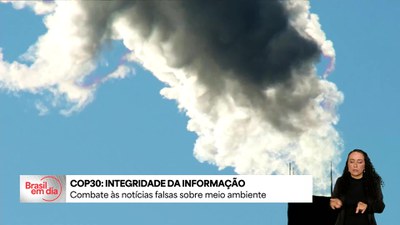 Grupo de países fecha acordo de combate à desinformação sobre meio ambiente